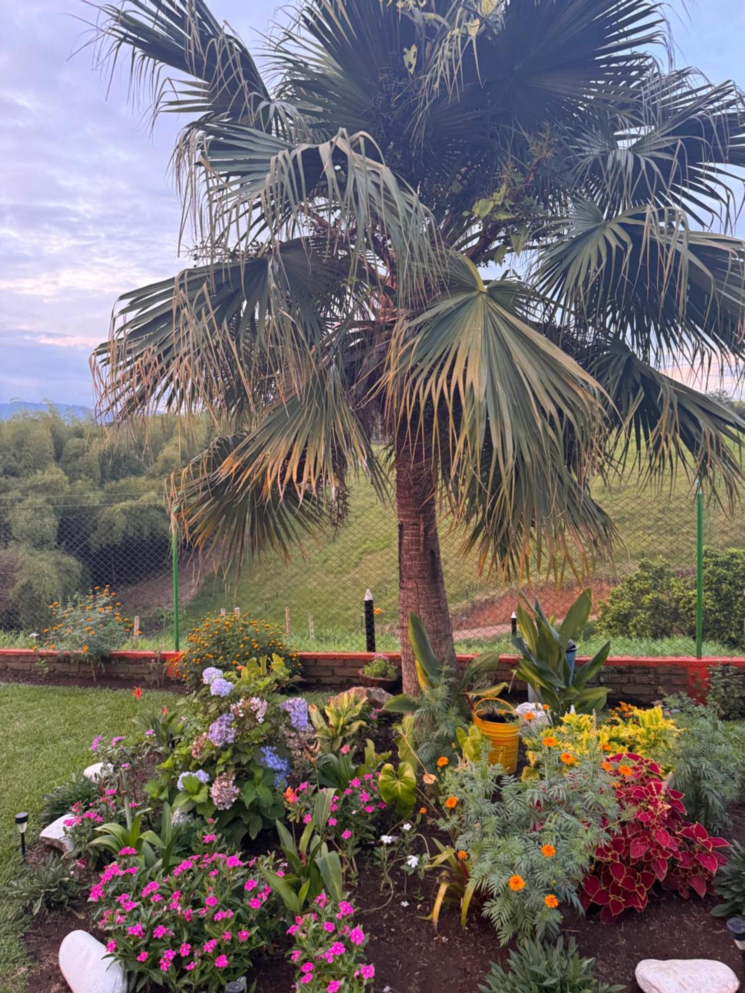 Finca La Gaviota Montenegro Buitenkant foto